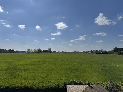 Picture 30